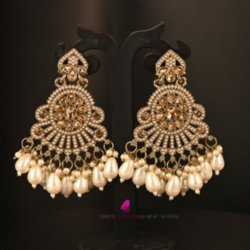 STONE AND DROP PEARL EARRING-ER0031