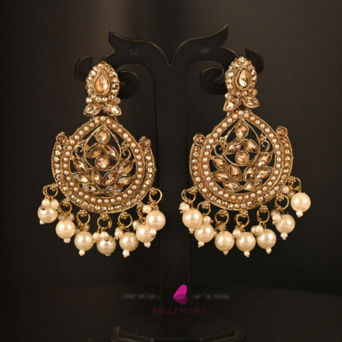 STONE AND DROP PEARL HANGING EARRING-ER0033